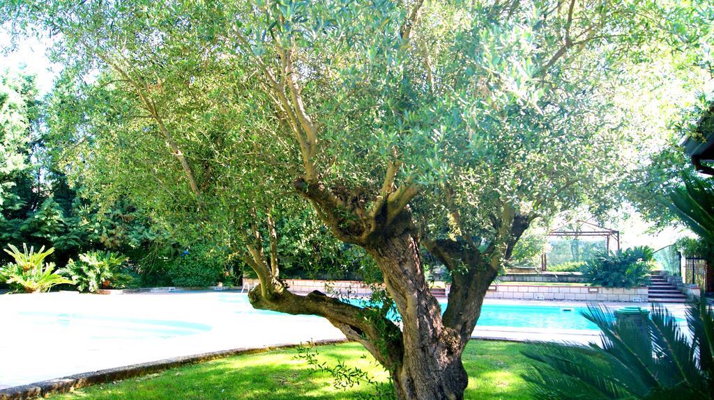 Agriturismo La Colombaia كابوا المظهر الخارجي الصورة